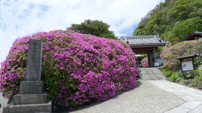 安養院