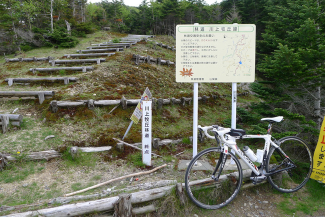 大弛峠-016