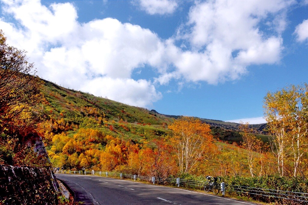 錦をまとう 八幡平紅葉ライド 自転車百景