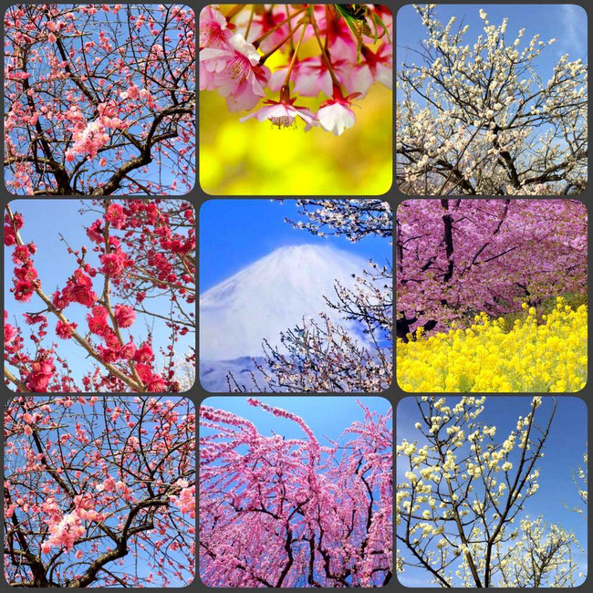 pickerimage-001