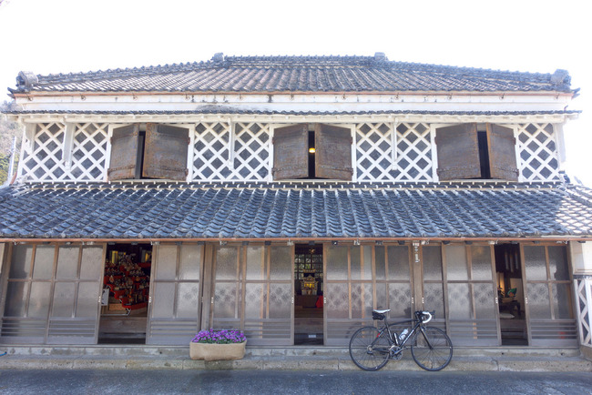 南伊豆河津桜-021