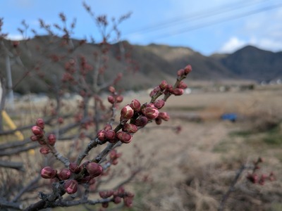 PXL_20260123_060630656