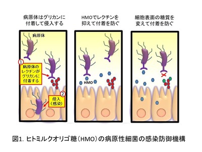 2020100901