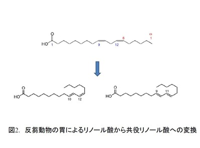 2015042702