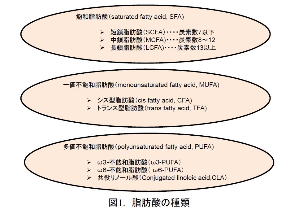 リノール酸エチル