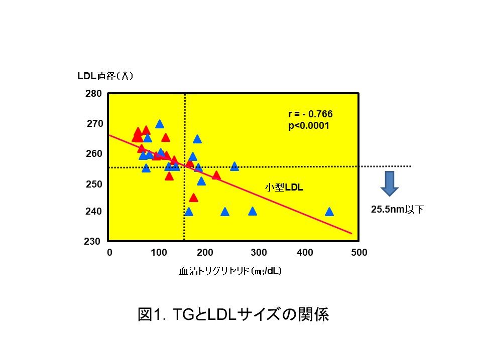 小型ldlコレステロールについて その2 Ldlはなぜ小型化するか 城先生と寺尾先生の知って得するかも 健康 化学まめ知識 健康編
