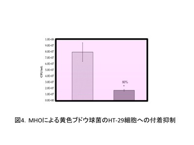 2020100905