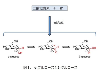 反応有機化学