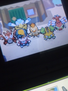 ハートゴールド ナエトル アチャモ進化しましたの巻 竹丸のとことんポケモン三昧