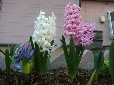 1459502655421-1536275648