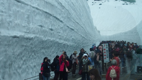 �����ۻ�����ڥ�롼�� (31)