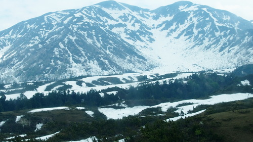 �����ۻ�����ڥ�롼�� (18)