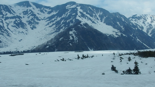 �����ۻ�����ڥ�롼�� (29)