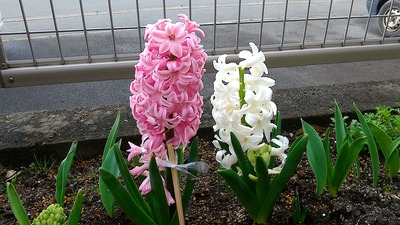 1459322756102-1803250763