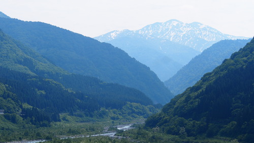 �����ۻ�����ڥ�롼�� (4)