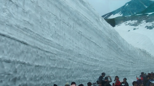 �����ۻ�����ڥ�롼�� (32)