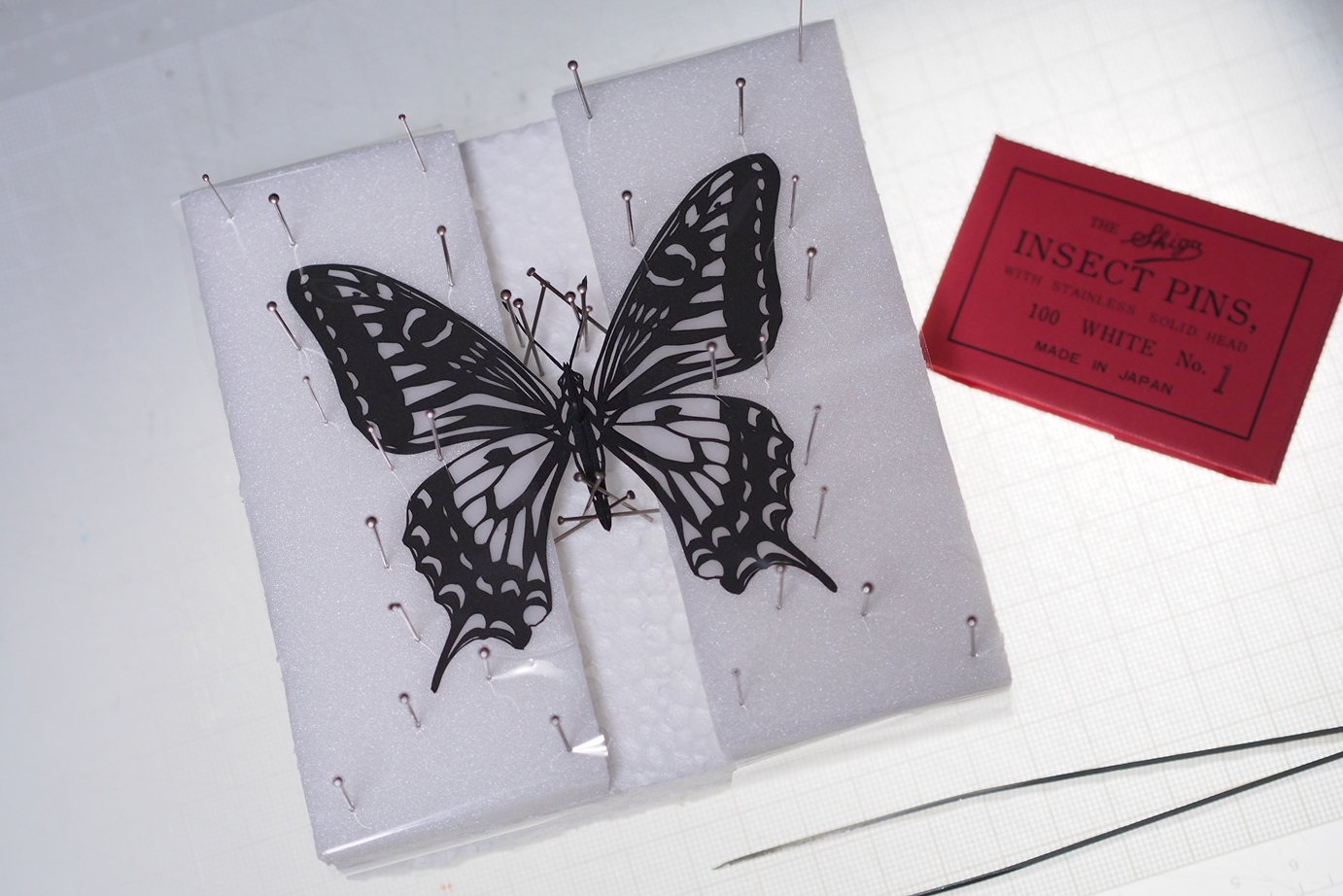 切り絵と写真と蝶々と 切り絵