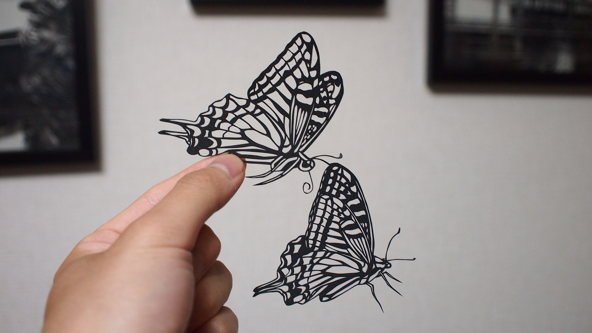 切り絵と写真と蝶々と 蝶