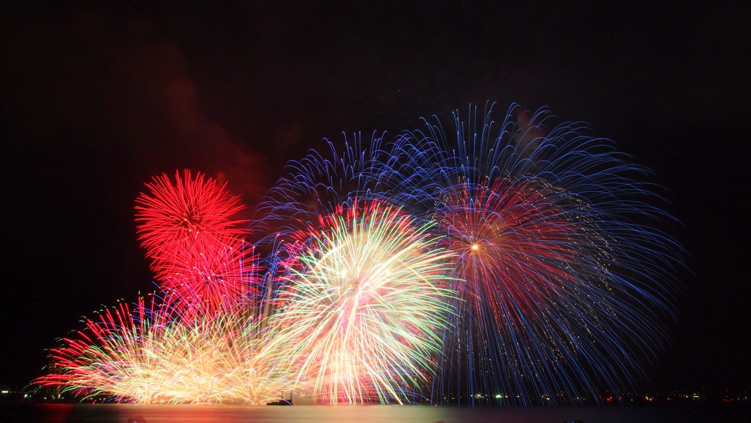 湖に輝く花 切り絵と写真と蝶々と