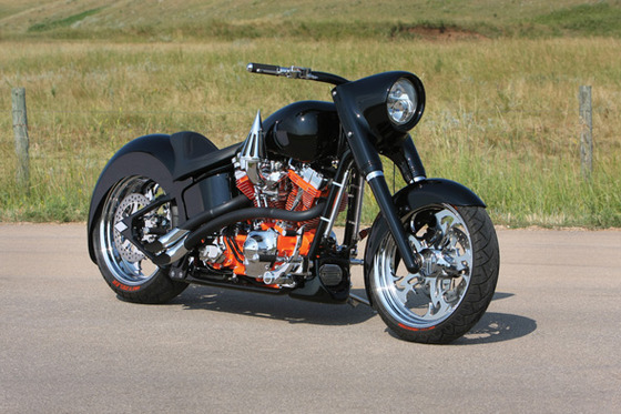 Custom-2002-Harley-Davidson-Fat-Boy-1