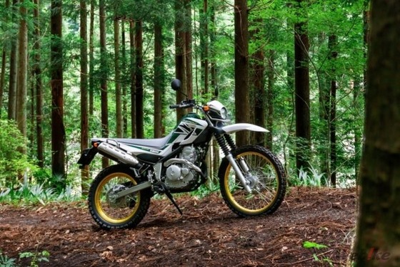 20180725_SEROW_01-680x455