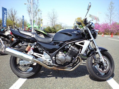 800px-Balius2