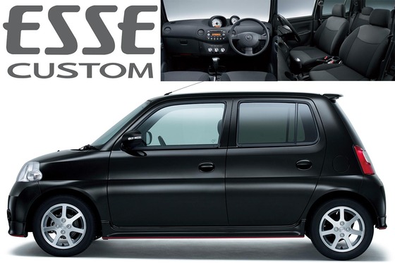 esse_custom_main