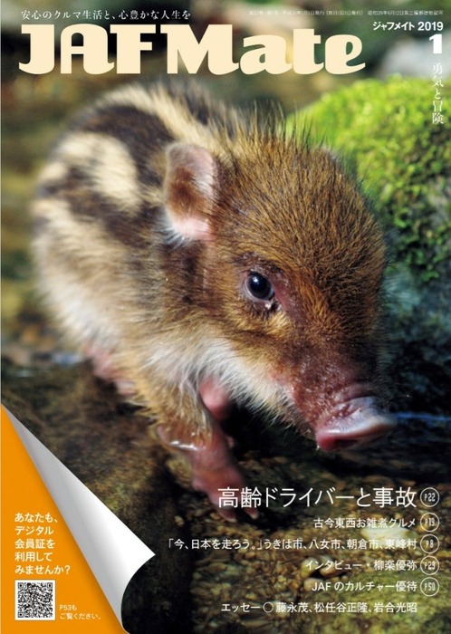 o0768108014335168757