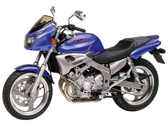 fzx 250 zeal 1995