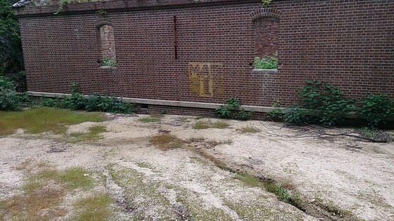 xup8sxydtms