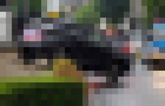 E4PBVWYUYAgSQJc