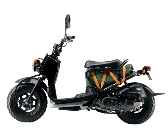 zoomer