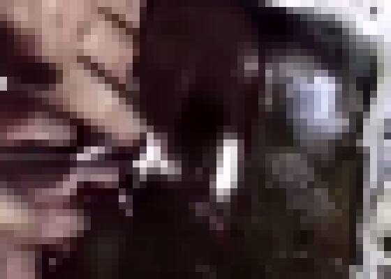 sfwG_xNBq4-cr3p7