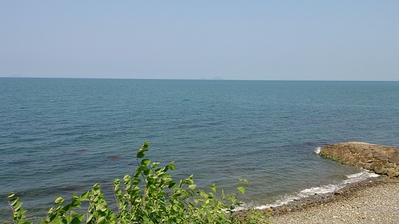 xup8tnefsov