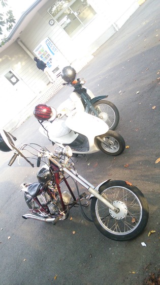 Myc48lg