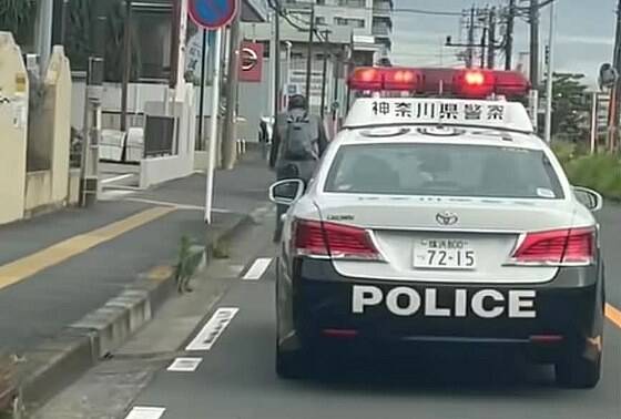 【悲報】あれだけ騒いでた「車で自転車を追い越せない問題」、もはや誰も気にせず追い越すｗｗｗのサムネイル