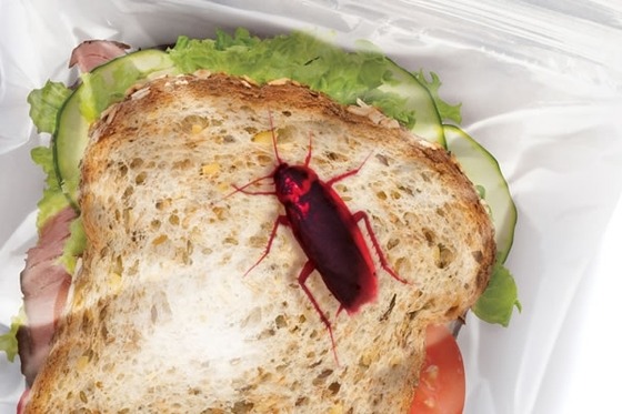 Lunch-Bugs-Sandwich-Bags_9985-l