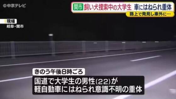 これはやりきれない…脱走した飼い犬を捜索中、路上で死んでいる飼い犬を見つけ車から降りたところ後続車にはねられ重体