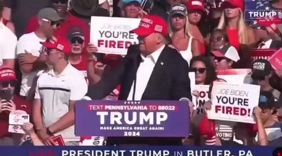 トランプ