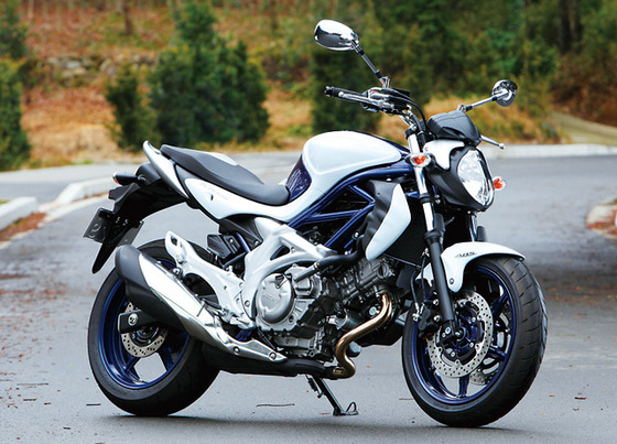 suzuki15_l