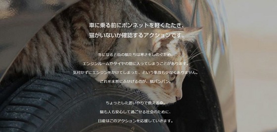 l_kuro_160126nekobanban01