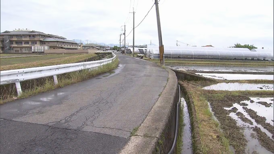 田んぼ