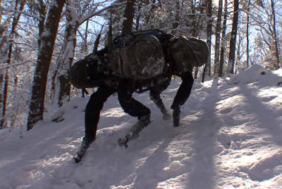 BigDog_Snow_s