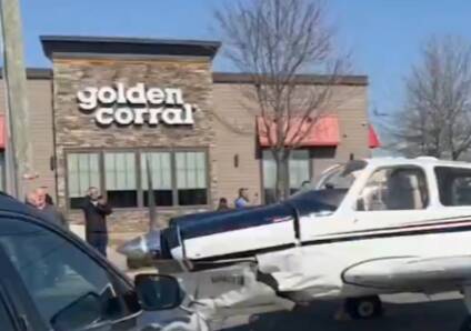 ゴールデンコーラル