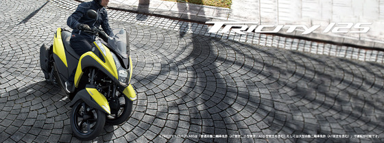 tricity_index_key_2021_pc