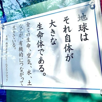 gaia