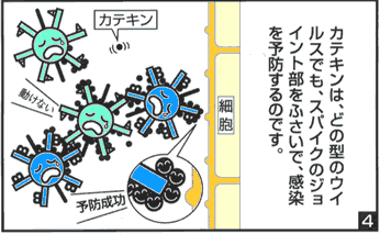 v-mechanism-4
