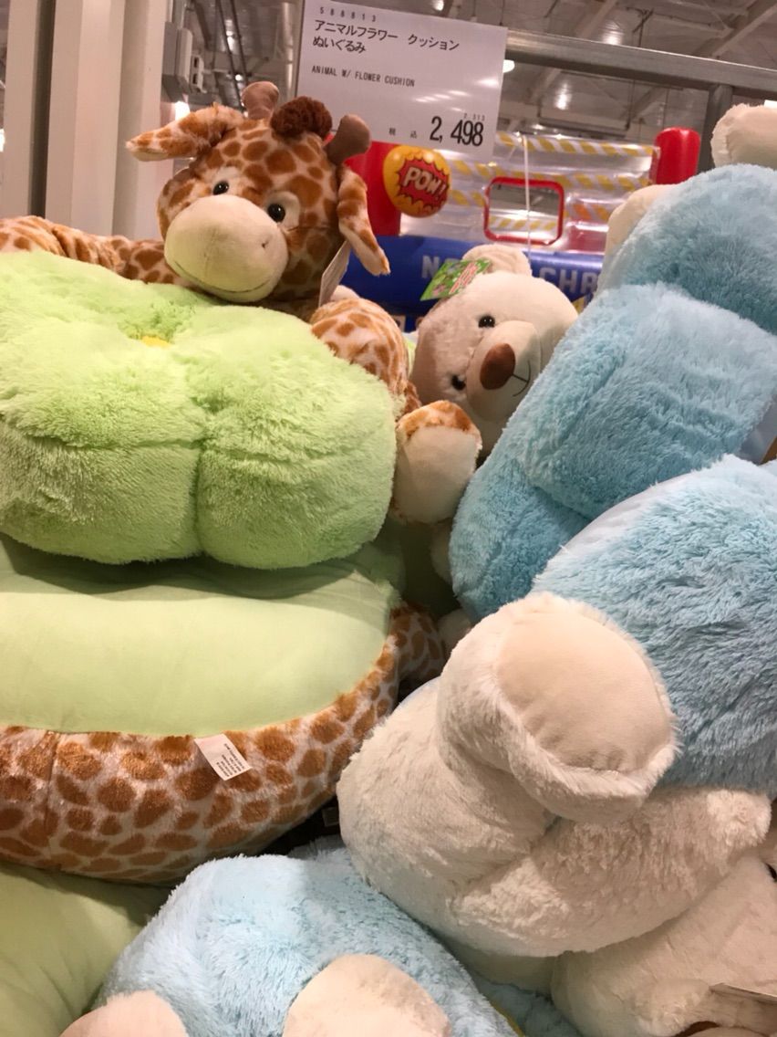 5 コストコ大好き つんつくつんつく歩いていくと今度はおうちがありません 5 コストコ大好き つんつくつんつく歩いていくと今度はおうちがありません