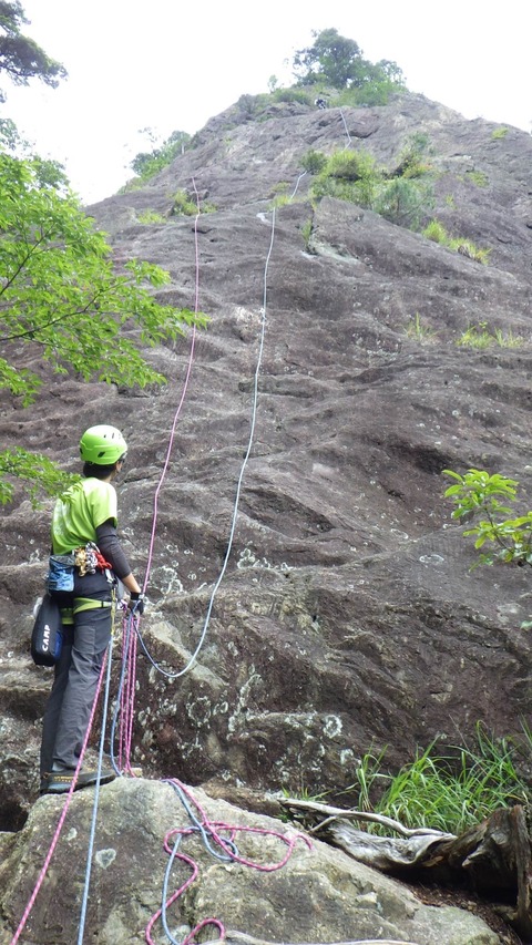 line_40784801133341