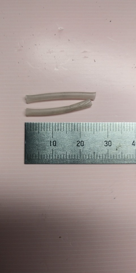 IMG00923